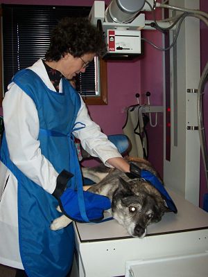 Okaw Vet Clinic - Tuscola, IL Okaw Vet Clinic - Tuscola, IL