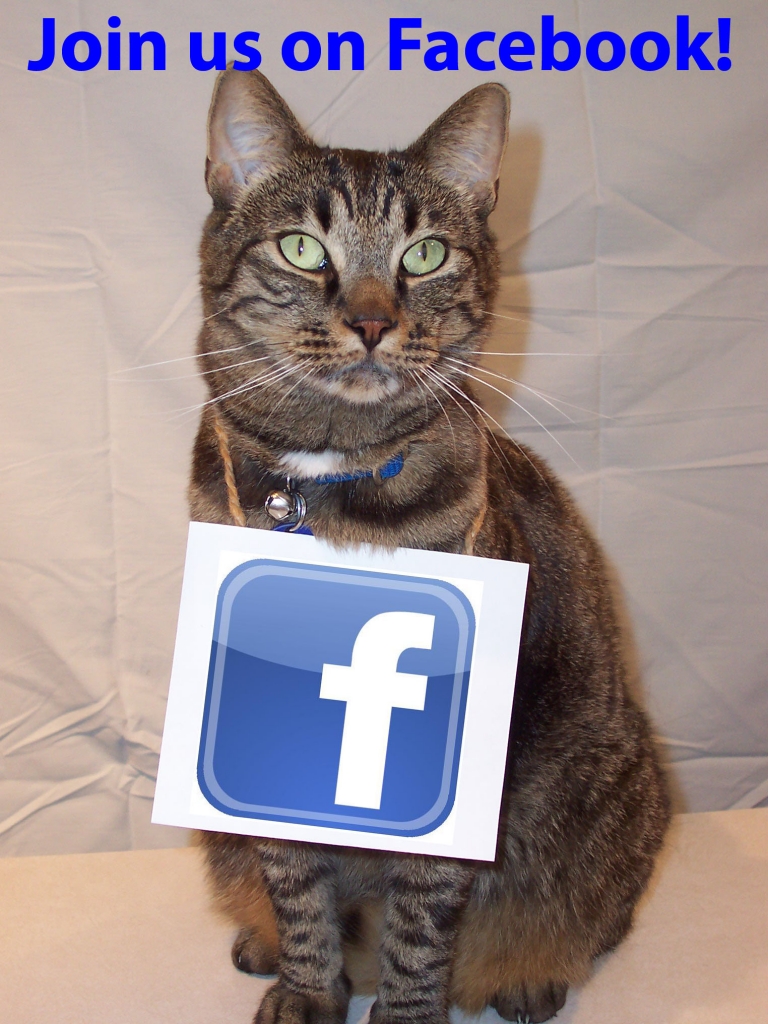 Facebook Ranger